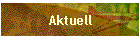 Aktuell
